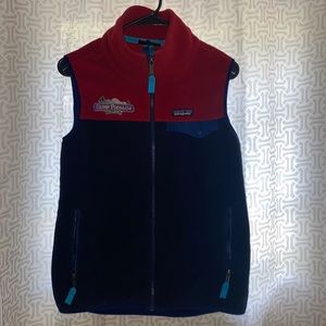 Patagonia Color Block Synchilla vest